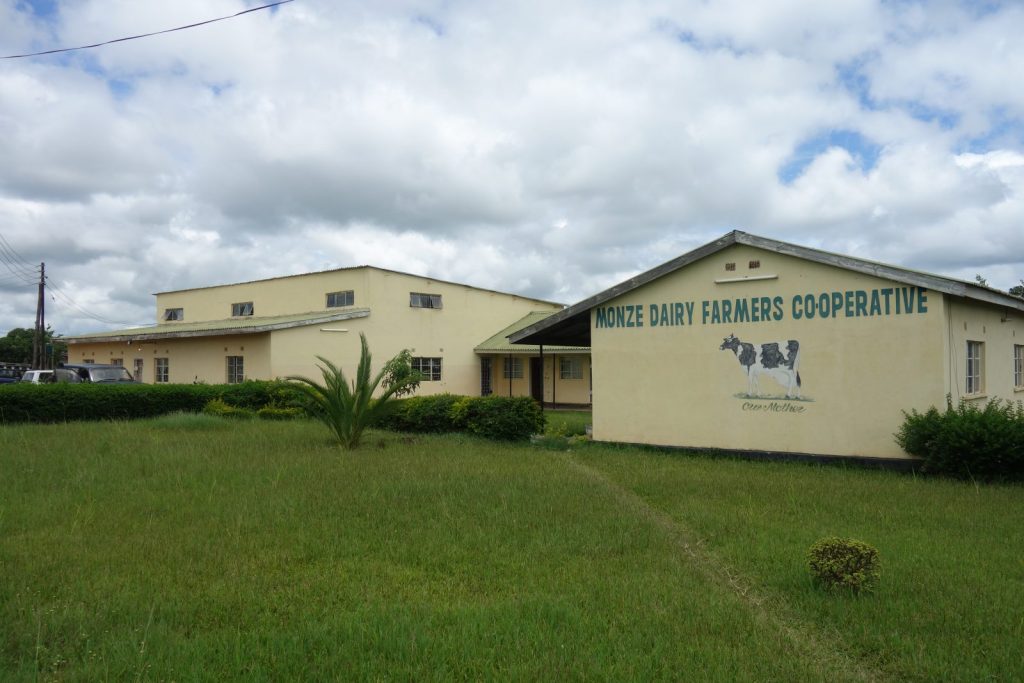 Dairy cooperation in Zambia