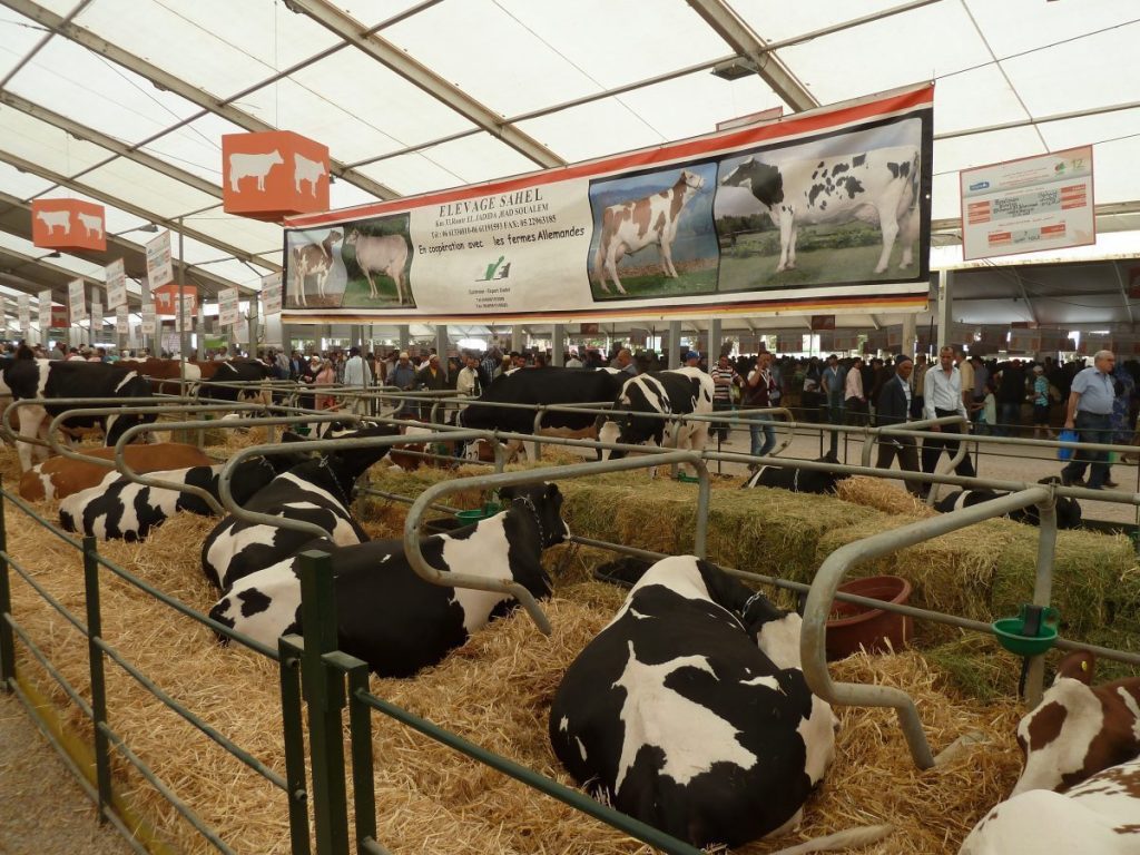 Exposition with breeding partners